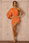 On The Screen Mini Dress - Orange