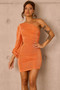 On The Screen Mini Dress - Orange