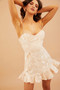 Remi Lace Mini Dress - Champagne | Sage and Paige AUS.