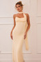 Lunaria Mesh Maxi Dress - Beige