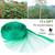 13 x 33ft Garden Netting Heavy Duty PE Anti Bird Netting Plants Fruits Tree Vegetables Protection Netting Net