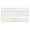 10 Inch x 20 Inch Precept HD Glossy Wall Tile | Ivory