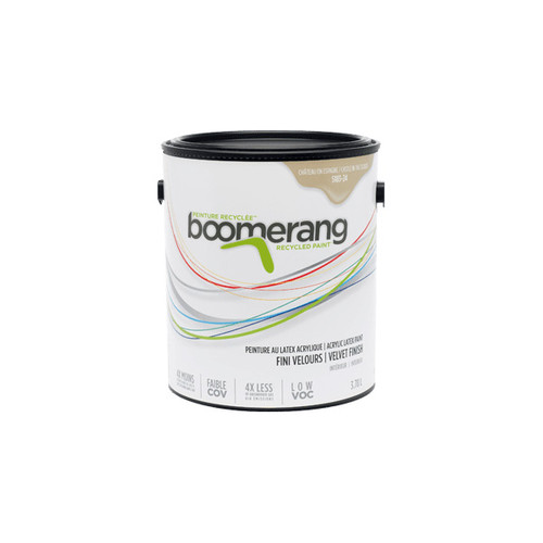 Castle in the Clouds - Boomerang Interior Latex Paint - 3.78L