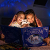 Elf On The Shelf Extraordinary Noorah the Artic Fox Book NOORAHBK3 Elf On The Shelf Extraordinary Noorah the Artic Fox Book NOORAHBK3