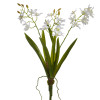 Raz 19" White Orchid Faux Plant Spring Floral Decoration F4602050-2