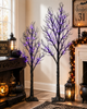 Raz 3' or 4' Black and Purple Lighted Halloween Tree 