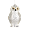 Raz 9" Large Snowy Winter Owl Glass Christmas Ornament 4622231 