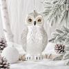 Raz 9" Large Snowy Winter Owl Glass Christmas Ornament 4622231 - 2