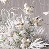 Raz 21" Set of 2 Iced White Berry Pod Christmas Tree Spray F4606670