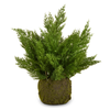 Raz 18" Cedar Drop In Christmas Decoration 4641821 -2