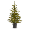 Raz 36" or 48" Real Feel Lighted Potted Fir Christmas Tree -3