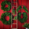 Raz 28", 32", or 38" Real Touch Real Feel Mixed Greenery Christmas Wreath
