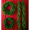 Raz 26" or 30" Real Touch Real Feel Norfolk Pine Christmas Wreath