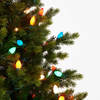 Raz 7.5' or 9' Pre-Lit Fraser Fir with C7 Bulbs Christmas Tree -5
