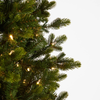 Raz 7.5' or 9' Pre-Lit Douglas Fir Christmas Tree -4