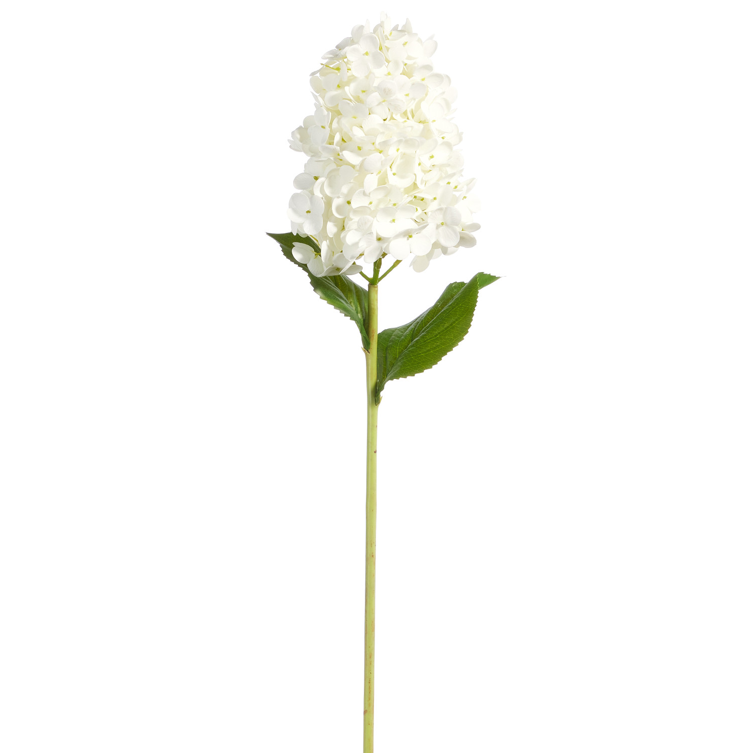 Raz 29 Real Feel White Hydrangea Stem F4441834