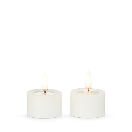 Raz Imports Tealight Candles