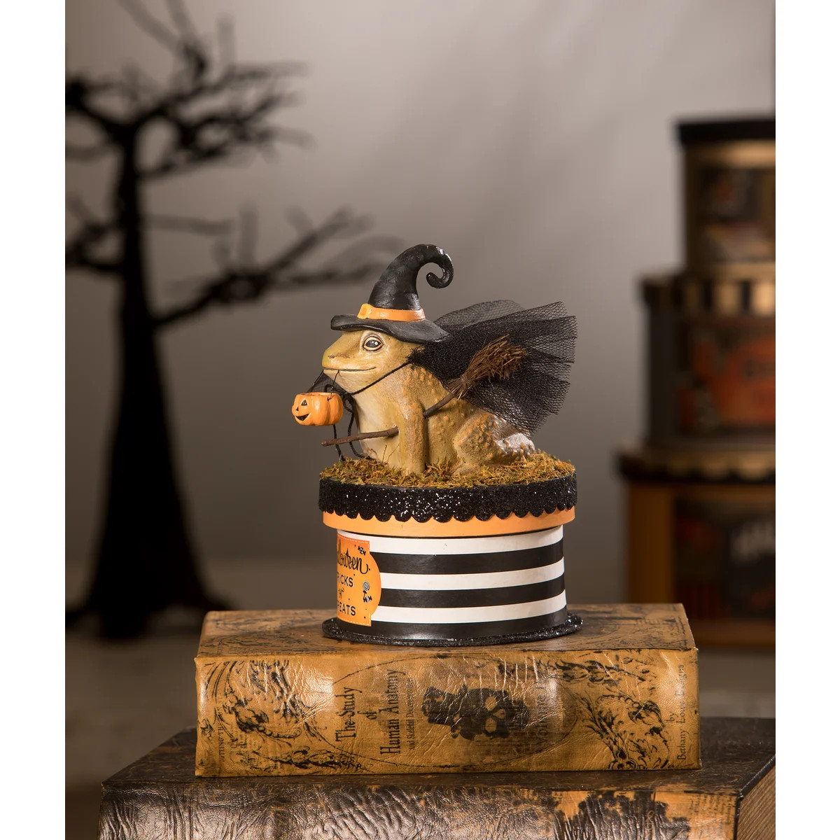 Bethany Lowe Witchy Toad - Thumbnail 3