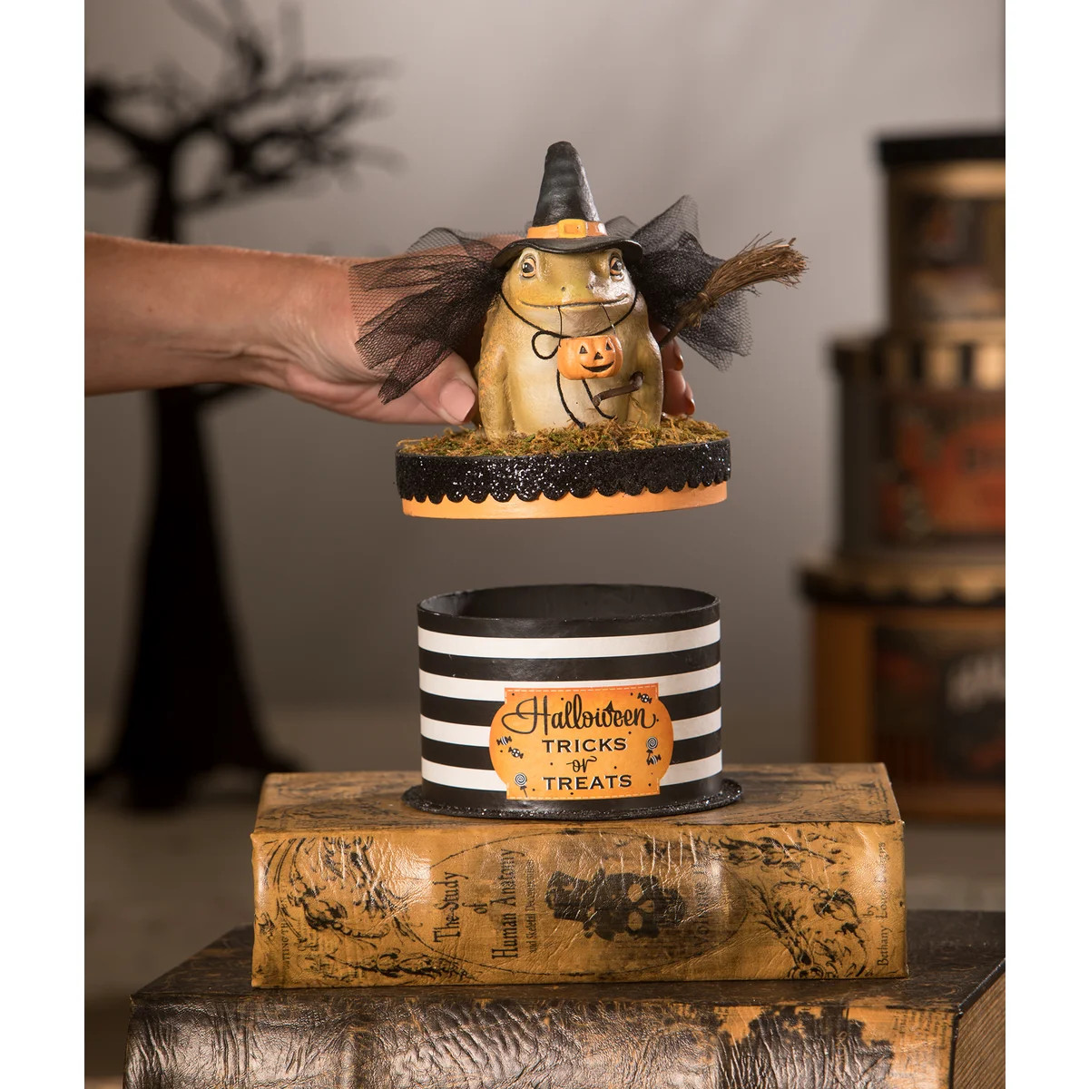 Bethany Lowe Witchy Toad - Thumbnail 4