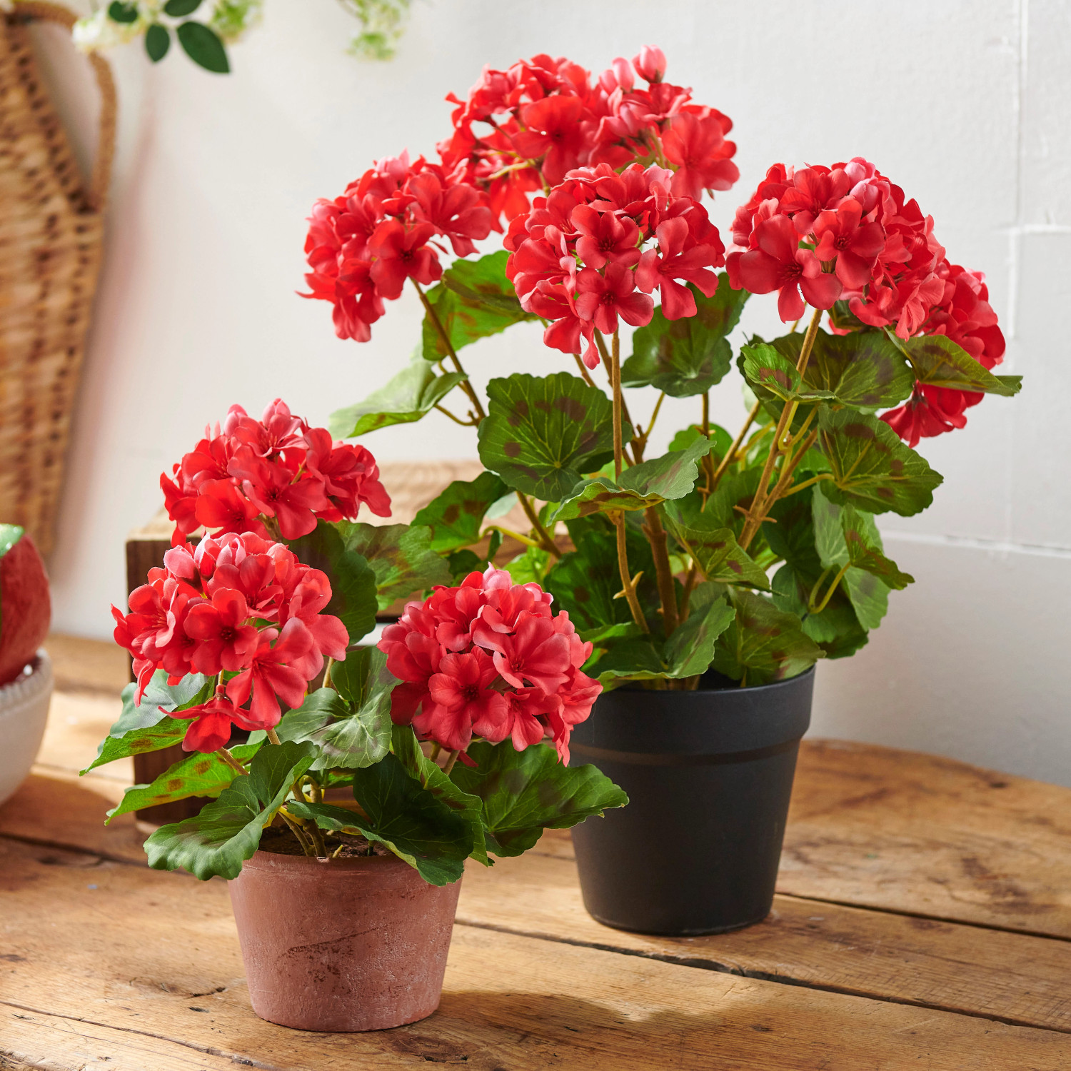 Raz 12" or 20.5" Potted Geranium Bush Spring or Summer Home Decor