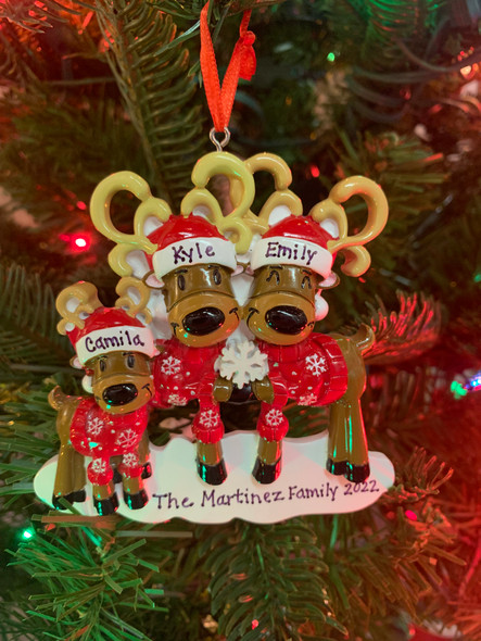 Reindeer Family of 3 Personalized Christmas Ornament OR2256-3