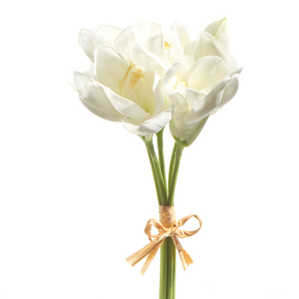 Ensemble d'amaryllis blanc Real Touch Raz 12" f4302310 -2