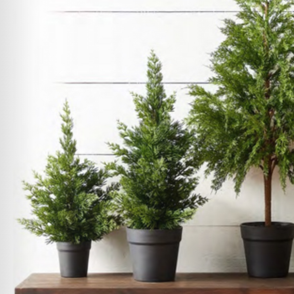 Raz 17" or 22" Real Feel Potted Cedar Christmas Tree Decoration Raz 17" or 22" Real Feel Potted Cedar Christmas Tree Decoration