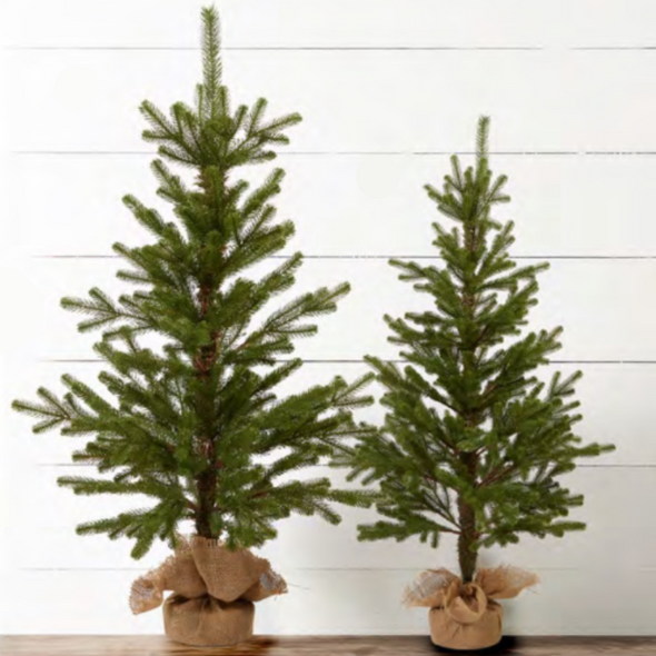 Raz 36" or 45" Real Feel Noble Fir Tree In Burlap Bag Christmas Tree Raz 36" or 45" Real Feel Noble Fir Tree In Burlap Bag Christmas Tree