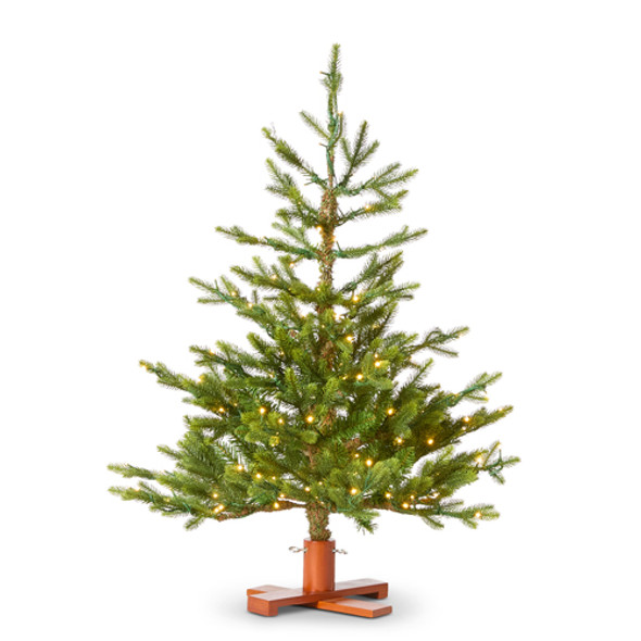 Raz 3' Bavarian Fir Tree with LED Lights Christmas Tree T4509557 Raz 3' Bavarian Fir Tree with LED Lights Christmas Tree T4509557