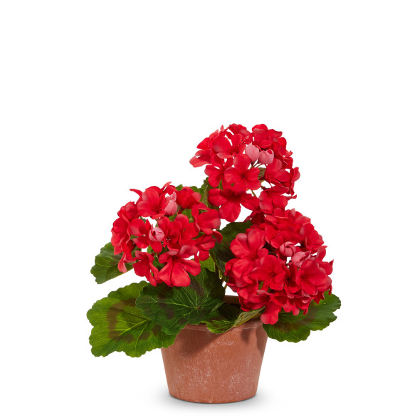 Raz 12" or 20.5" Potted Geranium Bush Spring or Summer Home Decor -2