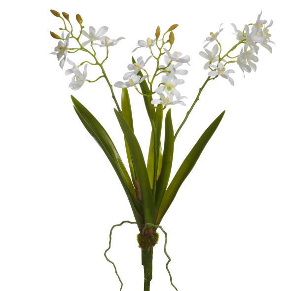 Raz 19" White Orchid Faux Plant Spring Floral Decoration F4602050-2