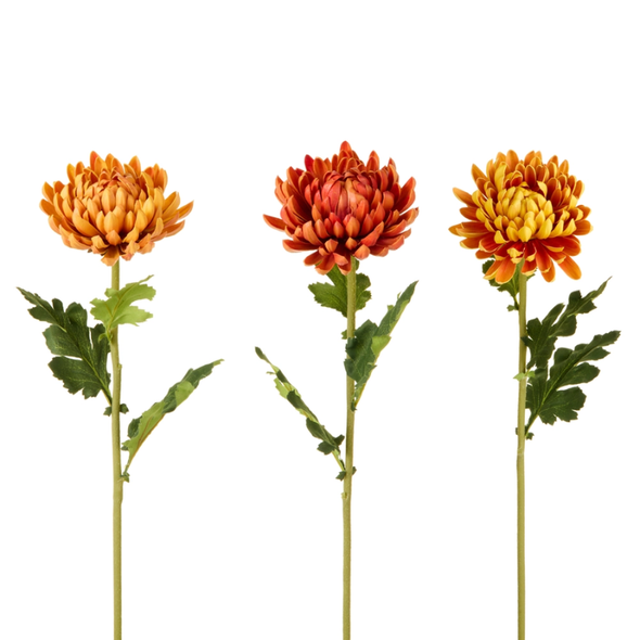 Raz Set of 2 24" Orange, Red, or Yellow Real Touch Mum Stem Halloween or Fall Decoration F4602403
