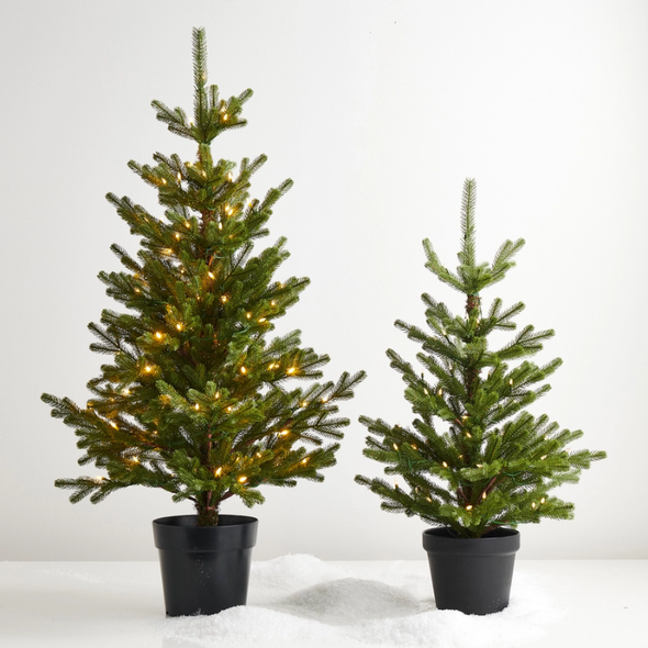 Raz 36" or 48" Real Feel Lighted Potted Fir Christmas Tree Battery Operated