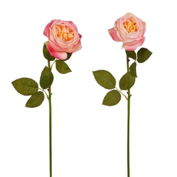 Raz 22" Set of 2 Pink Rose Stem Real Feel Flowers F4502230