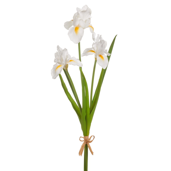 Raz 23" Real Touch White Iris Bundle F4602036