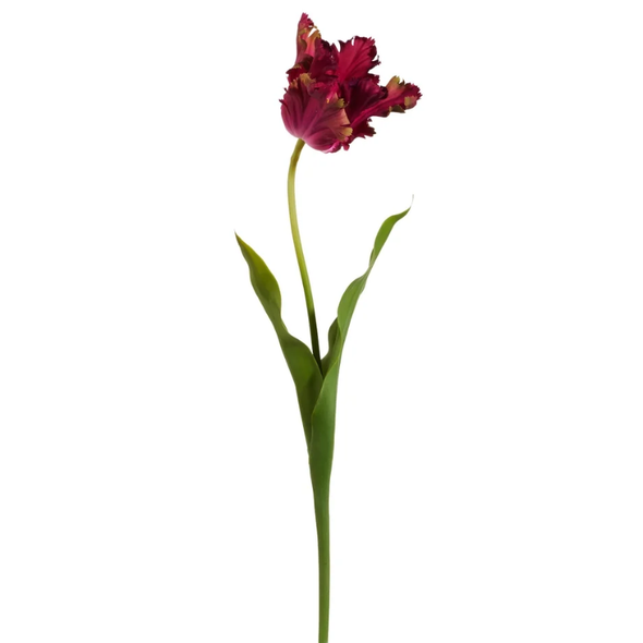 Raz 23.5" Real Touch Dark Pink Parrot Tulip Stem F4615289