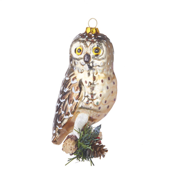 Raz 5" Owl Glass Christmas Ornament 4020022
