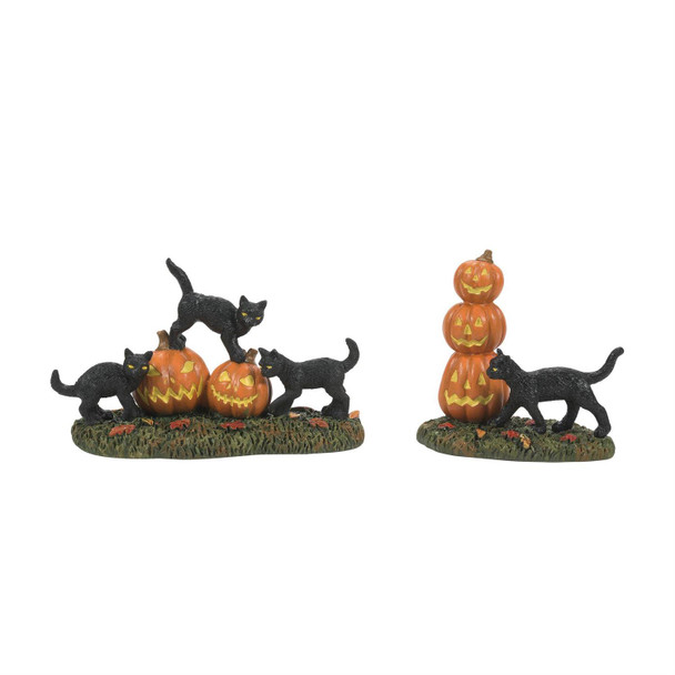 Department 56ハロウィンビレッジ 怖い猫とカボチャ フィギュア 6012285