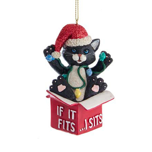Kurt Adler 3.25" "If I Fits, I Sits" Cat Christmas Ornaments E0599 -4