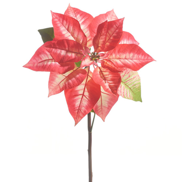 Raz 24.5" Red and Pink Poinsettia Stem Christmas Tree Pick F4341706 -2
