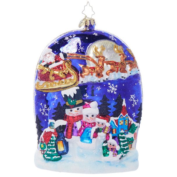 Christopher Radko 2024 Ornament Of The Month 12 Piece Set -10