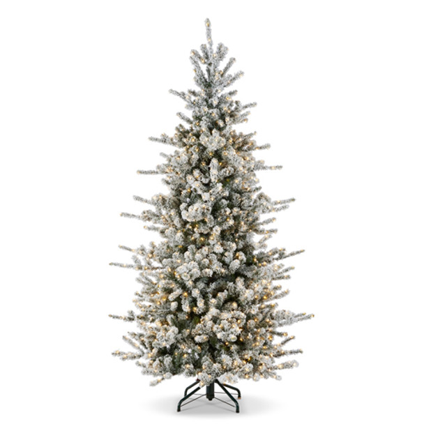 Raz 7,5', 9' eller 12' Snowy Rocky Mountain Spruce med strålende LED-lys -2