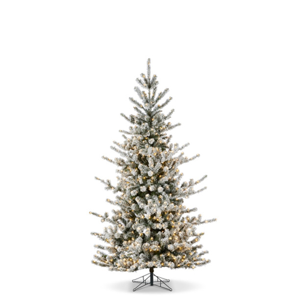 Raz 7,5', 9' eller 12' Snowy Rocky Mountain Spruce med strålende LED-lys -3