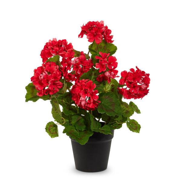 Raz 12" or 20.5" Potted Geranium Bush Spring or Summer Home Decor -3