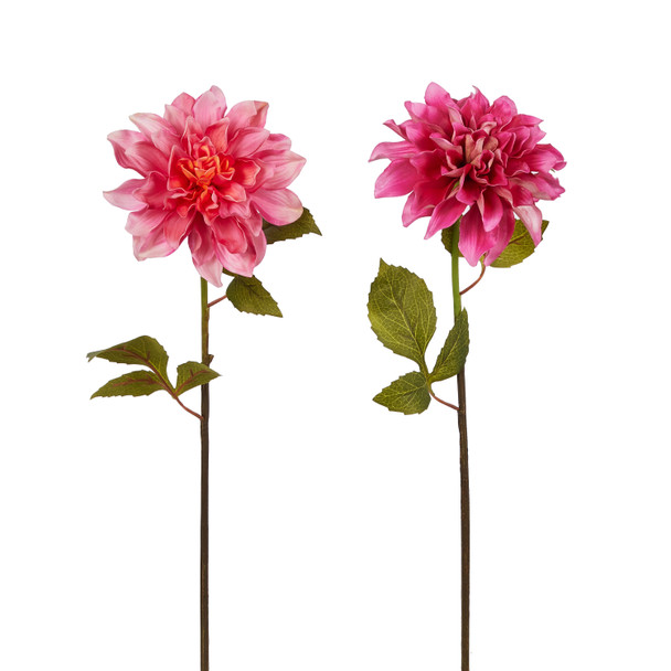 Raz 21" Set of 2 Real Feel Pink Floral Stem Spring Decoration F4502236