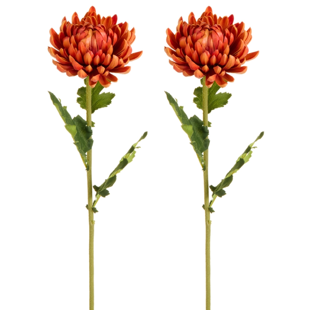 Raz Set of 2 24" Real Touch Mum Stem Halloween or Fall Decoration F4602403 -2