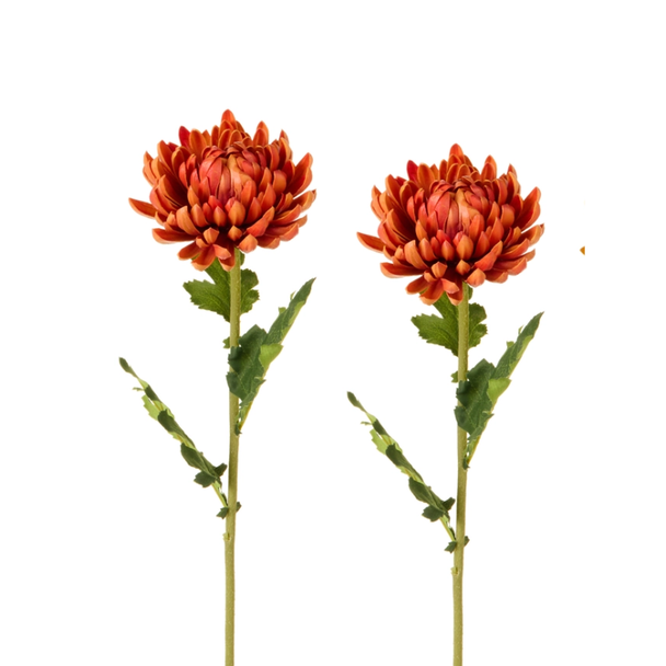 Raz Set of 2 24" Orange, Red, or Yellow Real Touch Mum Stem Halloween or Fall Decoration F4602403 -4