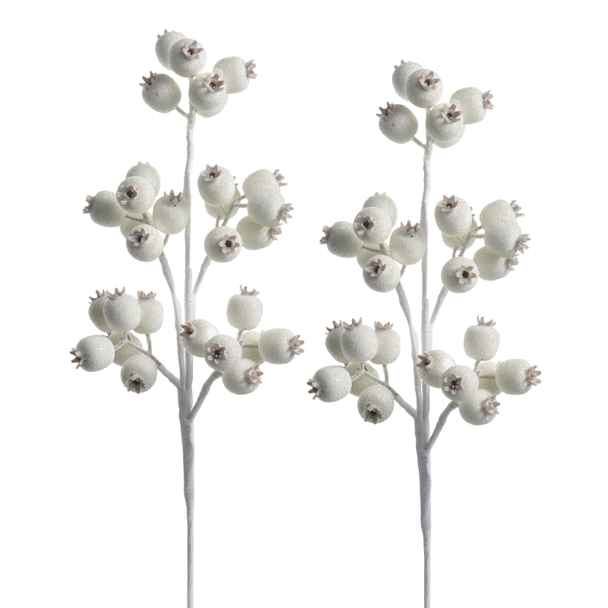 Raz 21" Set of 2 Iced White Berry Pod Christmas Tree Spray F4606670 -2