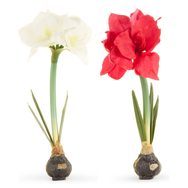 Raz 19" Real Touch White or Red Amaryllis Bulb Christmas Tree Decoration -2