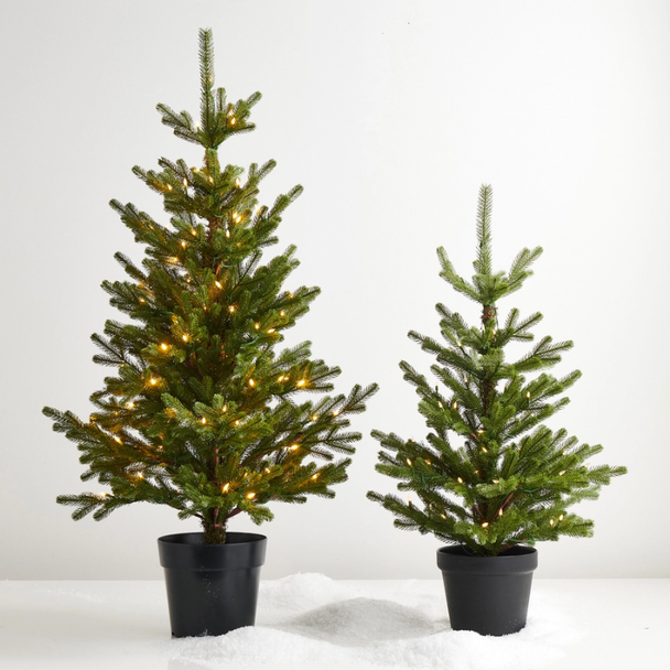 Raz 36" or 48" Real Feel Lighted Potted Fir Christmas Tree